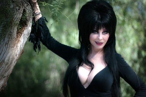 Elvira 49