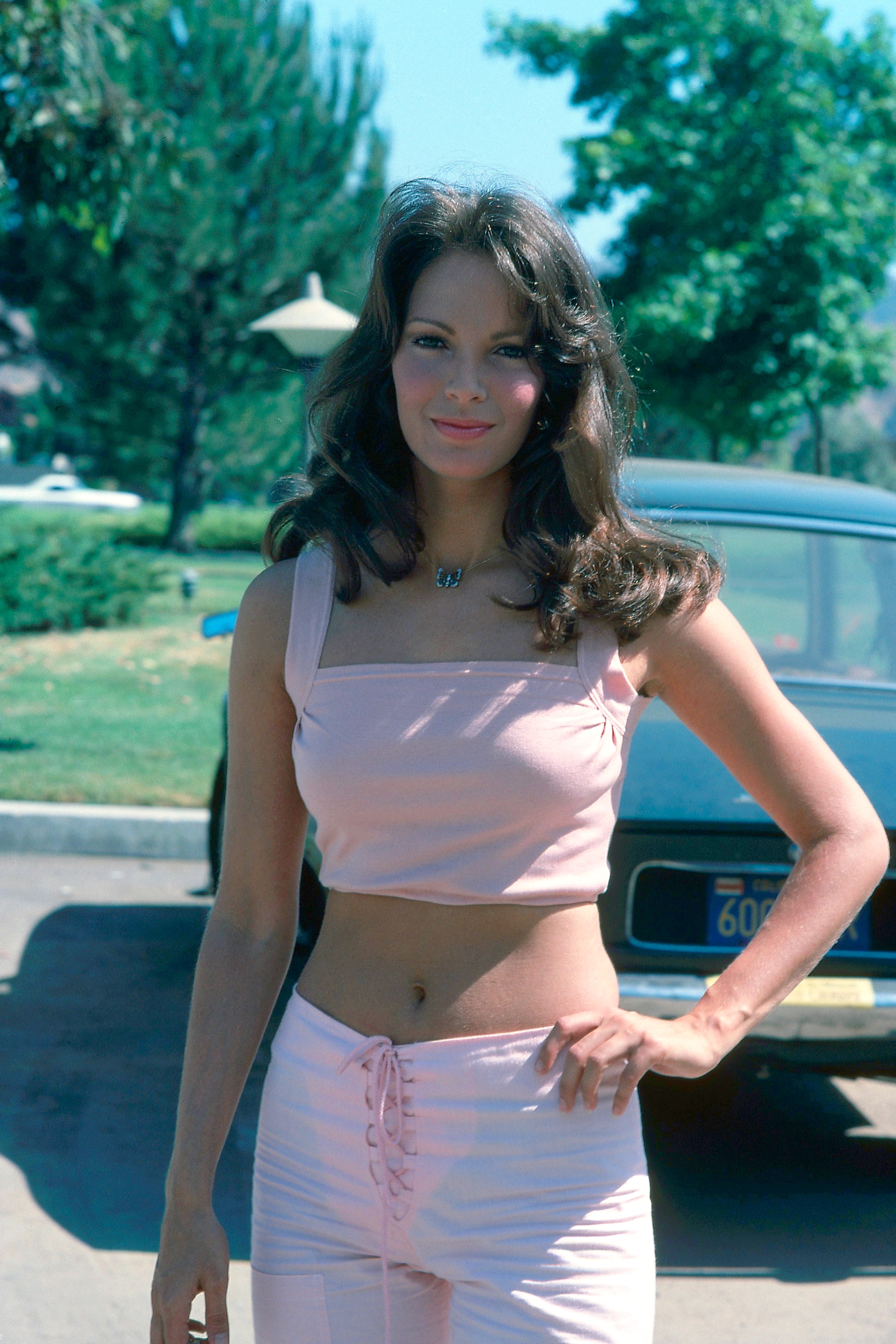 Jaclyn Smith Cameltoe