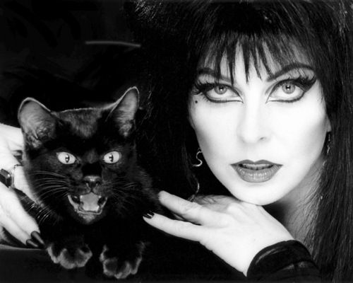 Elvira 41