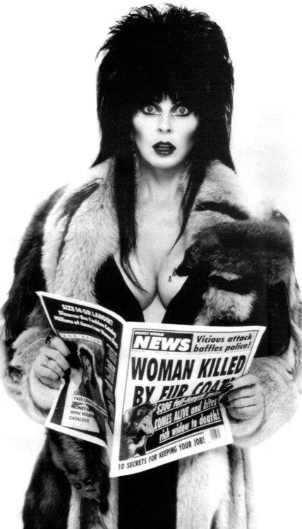 Elvira 32
