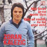 Zoran Kalezic - Diskografija 10709997_Omot-PS